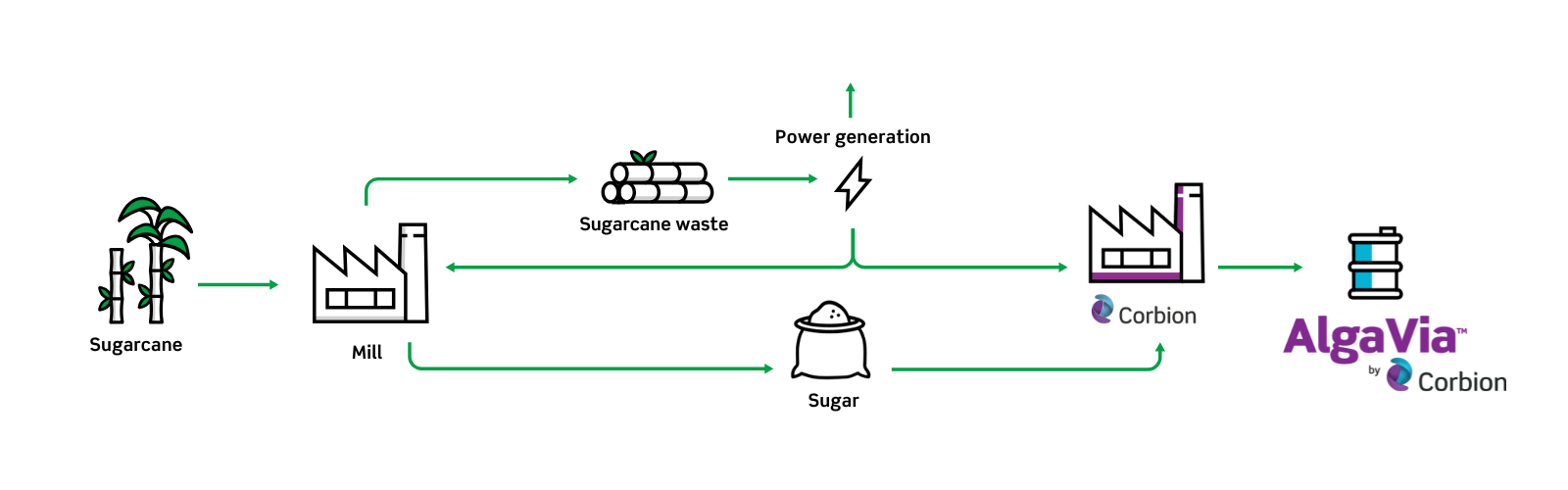 Microalgae fermentation process for AlgaVia