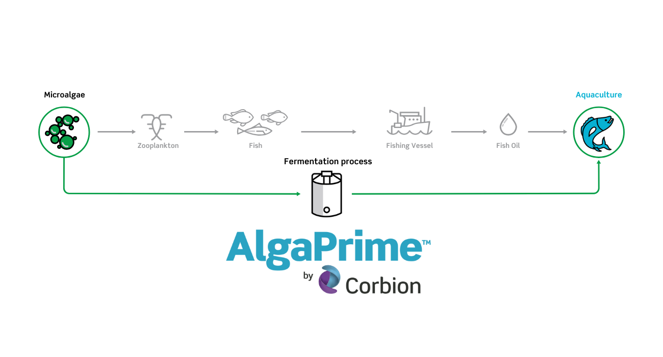 Pathway AlgaPrime for Aquaculture