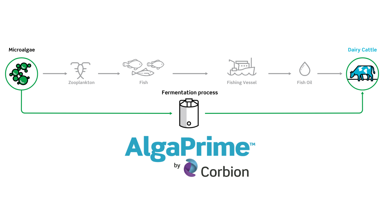 Pathway AlgaPrime for cattle