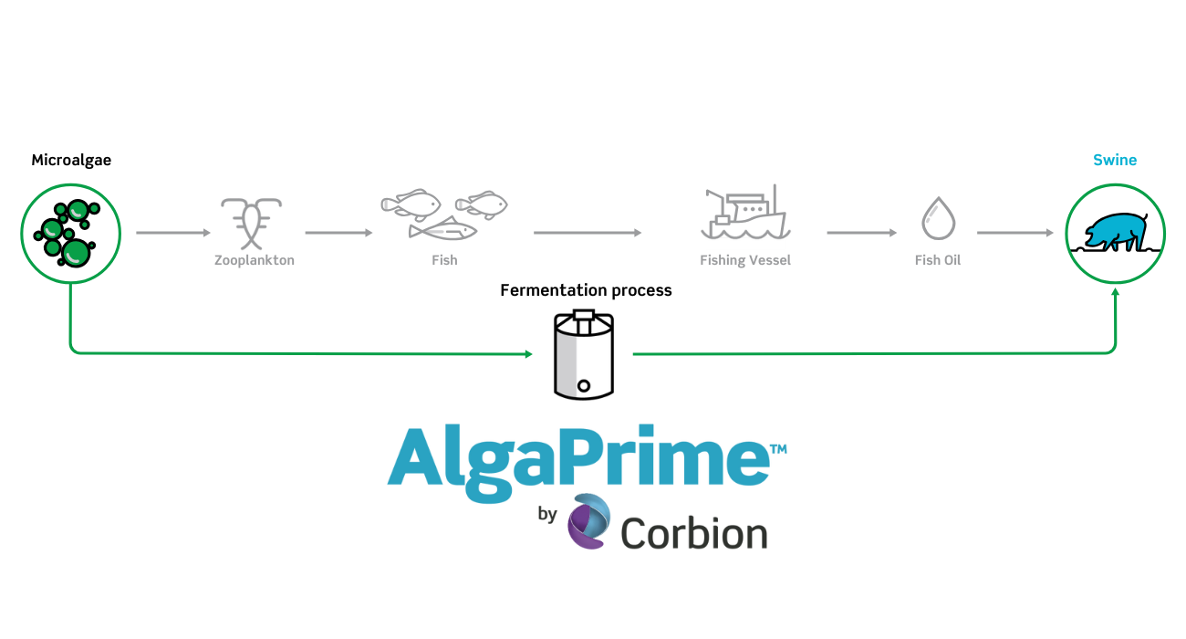 Pathway AlgaPrime for Swine