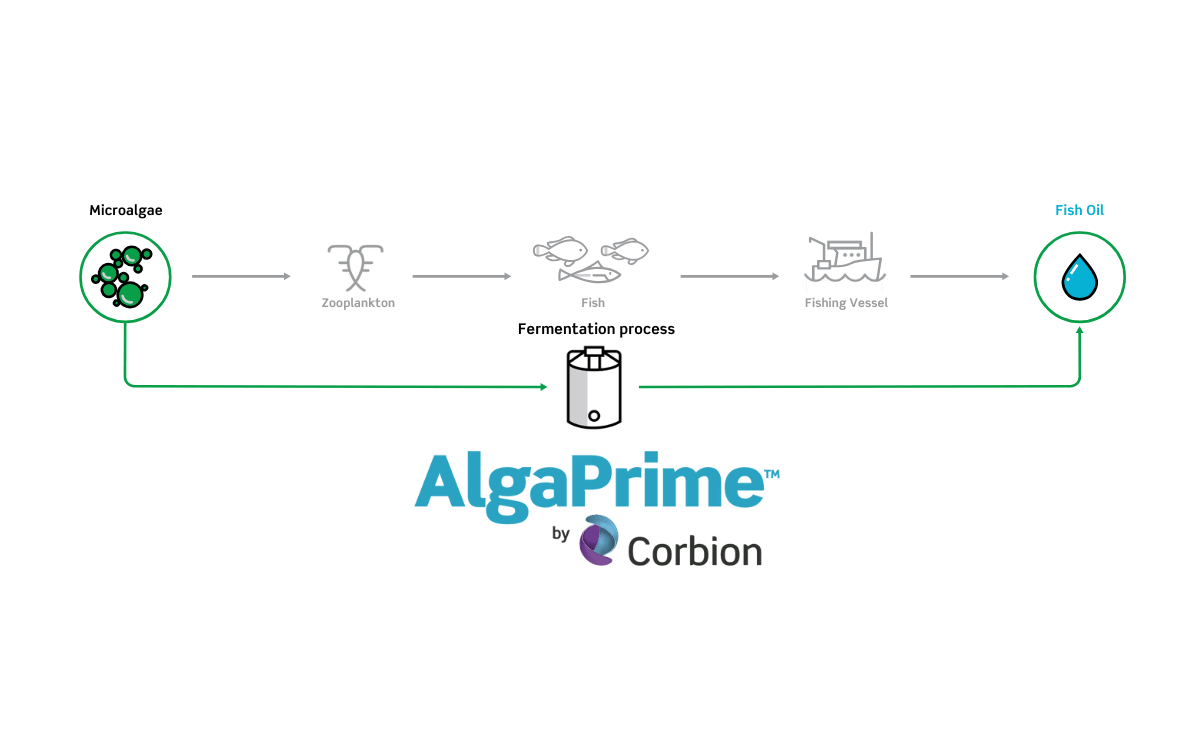 AlgaPrime DHA process